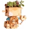 Doniczka Robot